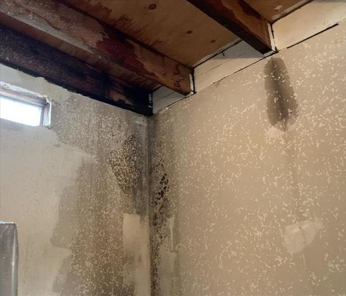 Water and mold affects the walls of a home garage